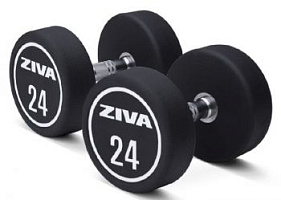 Набор гантелей уретановых Ziva 52-60 кг | sportres.ru