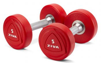 Набор гантелей с уретановым покрытием Ziva, цветные, 1-10 кг (10 пар, шаг 1 кг), 110 кг | sportres.ru