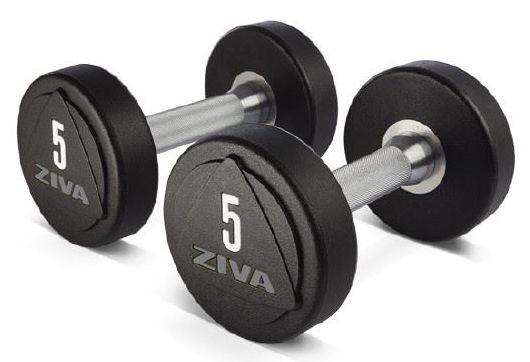 Набор гантелей уретановых Ziva премиум, 1-10 кг (10 пар) | sportres.ru фото 1
