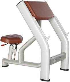 Скамья Скотта Bronze Gym H-040A | sportres.ru