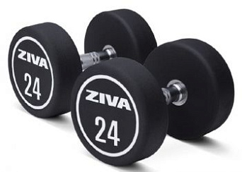 Набор гантелей уретановых Ziva 2-50 кг | sportres.ru