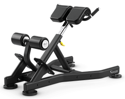 Скамья для гиперэкстензий Vision Fitness VST600-FW52 | sportres.ru