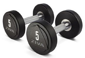 Набор гантелей уретановых Ziva премиум, 1-10 кг (10 пар) | sportres.ru