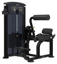 Разгибание спины Impulse IT9532 | sportres.ru