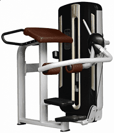 Ягодичные мышцы Bronze Gym MNM-016A | sportres.ru